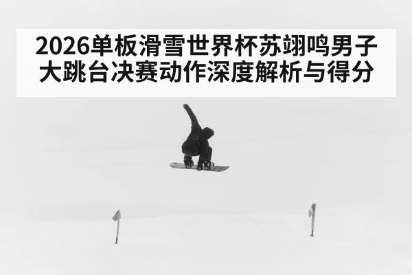 2026单板滑雪世界杯苏翊鸣男子大跳台决赛动作深度解析与得分